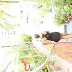 Hotel Alpine